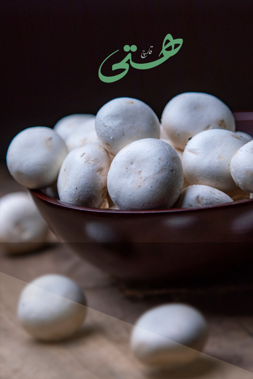 ویژگی های قارچ هستی