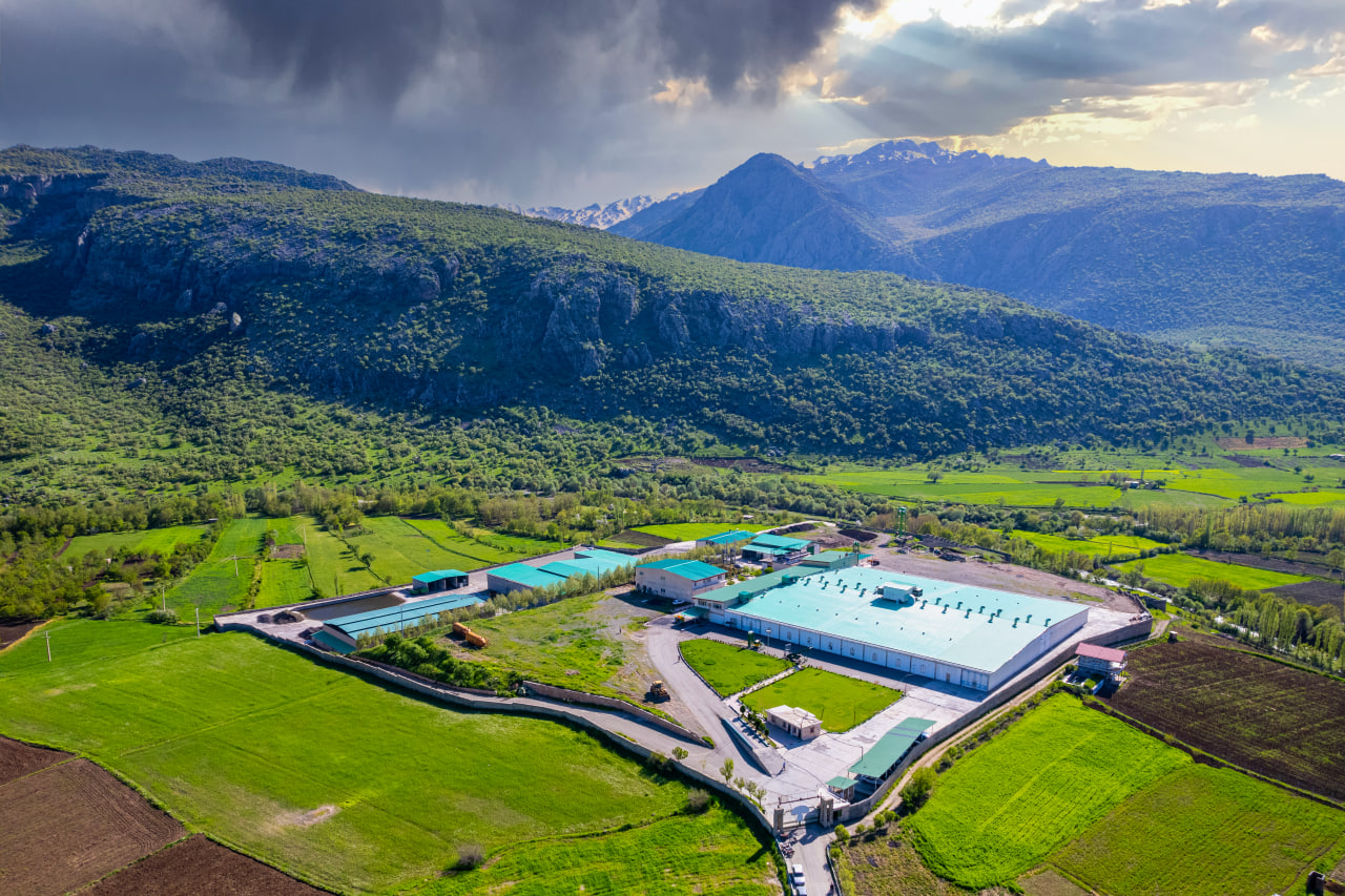 کارخانه قارچ هستی